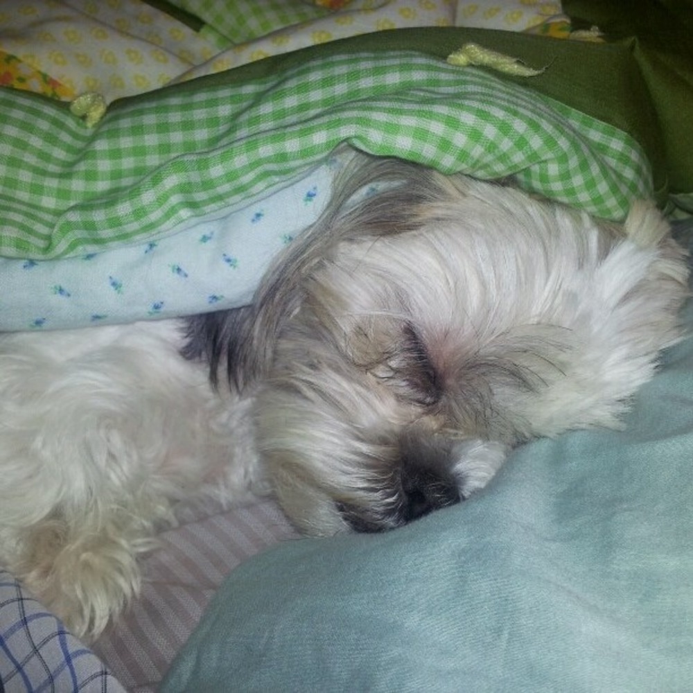 Meet your Posher, Maria